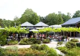 Maasduinen foto 16