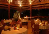 Nandini Jungle by Hanging Gardens foto 5
