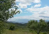 Afentiko Pigadi foto 4
