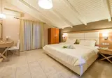 Hotel Plessas Palace foto 23
