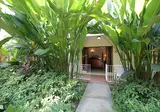 Negril Palms Hotel foto 11