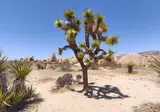 West-Amerika op het gemak foto 1