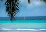 Viva Dominicus Palace by Wyndham, A Trademark All Inclusive foto 19