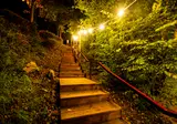 Glamping Resort Namur Nature foto 16