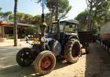 Begur foto 11