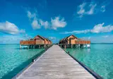 Dhigufaru Island Resort foto 4
