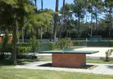 Gala foto 7