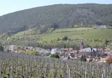 St. Martiner Castell foto 15