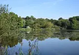 Camping Landae foto 8