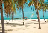 Hondaafushi Island Resort foto 4