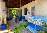 Finca las Nuevas foto 18