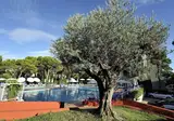 Hotel Bembo foto 2