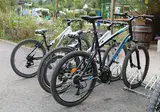 Camping La Roche D Ully foto 8
