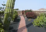 El Caserio de Guime foto 7
