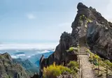 Ontdek Madeira vanuit São Jorge foto 1