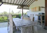 Villa Alisha Pererenan Canggu by ZUZU foto 6