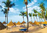 Palm Beach foto 15
