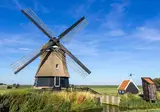 Hollandsch Glorie foto 2