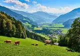Ontdek de Zillertaler Alpen vanuit Königsleiten foto 6