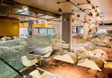 B&B HOTEL Fabriano Janus foto 22