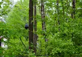 Vakantiepark Grafschaft Bentheim foto 10