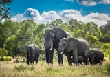 Ontdek het Noorden van Zuid-Afrika incl. Kruger foto 10
