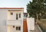 Naftilos Rosmarinus foto 14