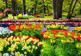 Hotel Lowietje Lisse - Keukenhof foto 18