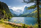 Ontdek het Salzkammergut en de Alpen vanuit Flachau foto 3