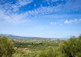 10 daagse Singlereis Zonnig & Cultureel Zakynthos foto 1