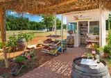 Camping Park Umag foto 7