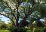 Anelia Resort & Spa foto 21
