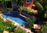 Amanhavis foto 12