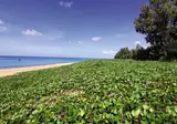 Maikhao Palm Beach Resort foto 30