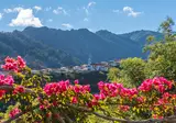 8 daagse fly drive Kleurrijk Madeira foto 5