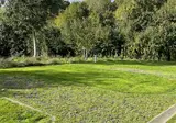Urban Gardens Ieper foto 8
