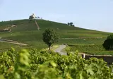 La Grappe Fleurie foto 17