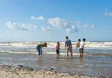 Sunparks Oostduinkerke aan zee foto 13