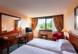 Hilton Strasbourg foto 25