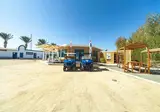 Shoni Bay foto 28