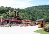 Al Lago foto 23