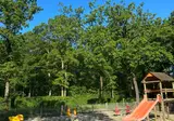 La Forêt foto 9