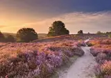 Herberg de Zwaan Elspeet foto 21