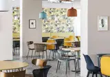 Zefir Beach foto 18