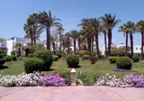 Lotus Bay foto 21