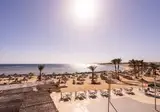 Shoni Bay foto 3