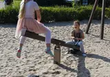 de Nollen foto 28