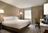 Hilton Garden Inn New York Times Square South foto 12