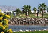 Pickalbatros Luxury Suites foto 10