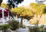 Rhenia Mykonos foto 25
